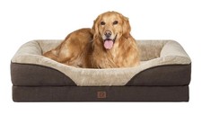 XL Memory Foam Orthopedic Dog