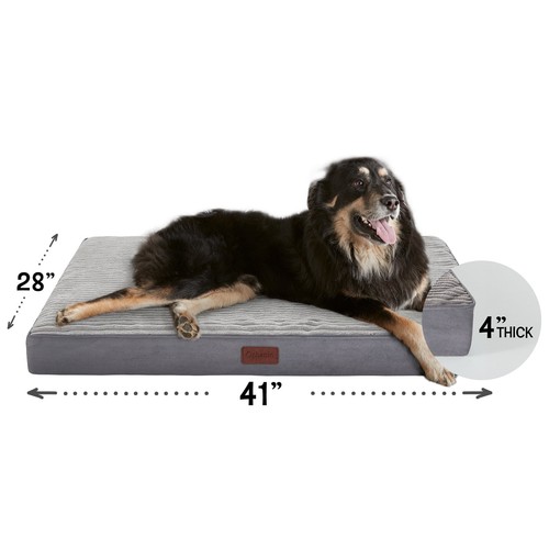 Gray orthopedic dog - 41, in