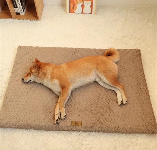 Comfortable foam large pet dog - comfortable,
