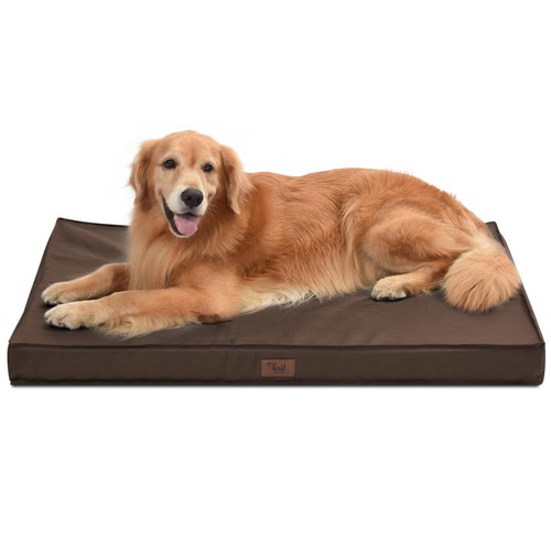 Outdoor all weather dog - outdoor,