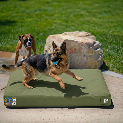 Inch canvas indestructible - 42,