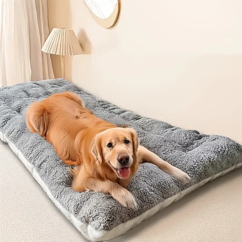 Extra large plush - large, dog