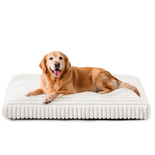 New dog bed for - bed, dogs