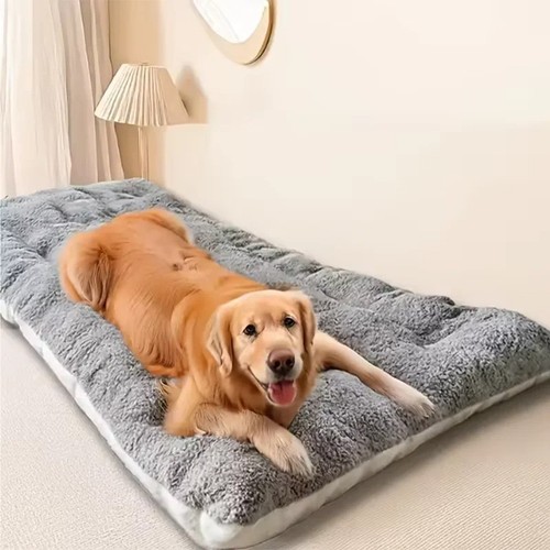 Xxl plush dog - xxl, bed