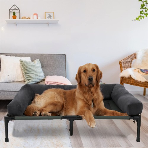 Xxl extra large indoor - extra,