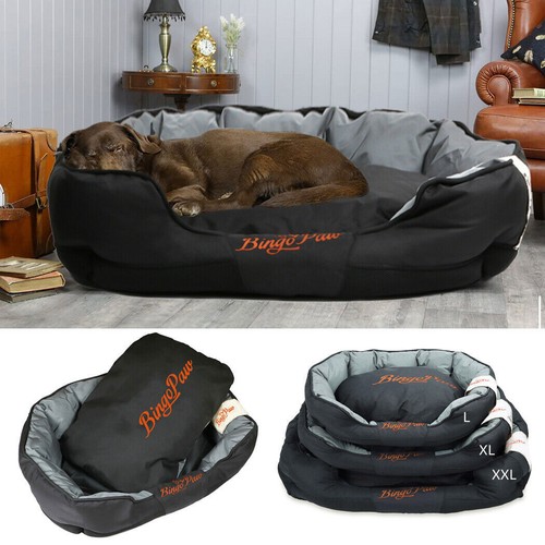 Luxury extra large orthopedic - extra,