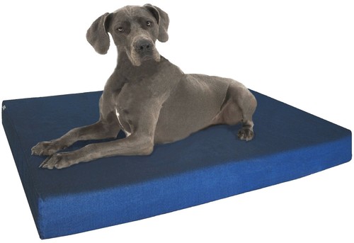Extra large pet dog - dog, bed