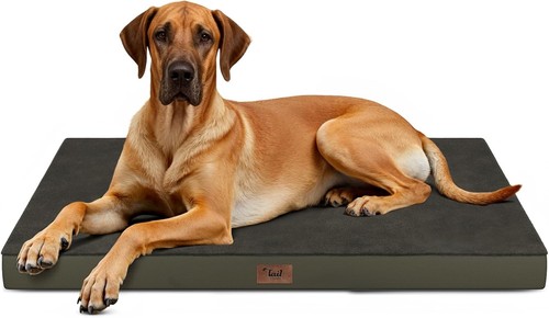 Flat extra large dog - extra,