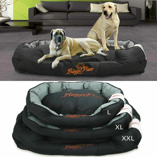 Extra large jumbo orthopedic - jumbo,