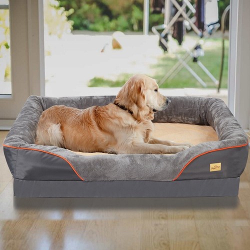 Elevated orthopedic dog - dog, w/