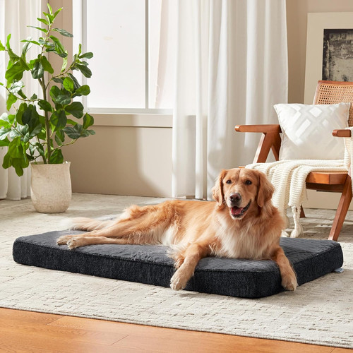 Orthopedic dog bed for - orthopedic,