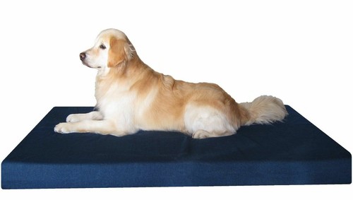 X37 extra large xl - extra,