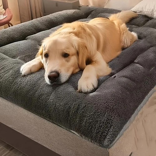 Extra large plush dog - extra,