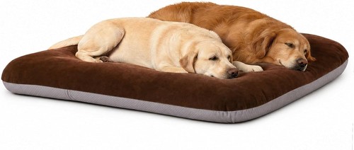 Orthopedic dog bed - bed, extra