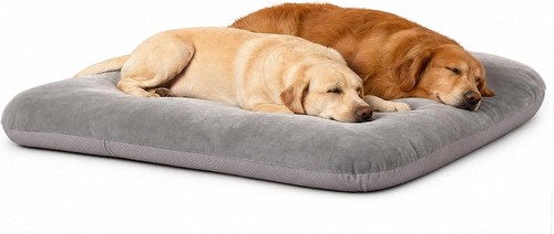 Magic dog orthopedic extra - dog,