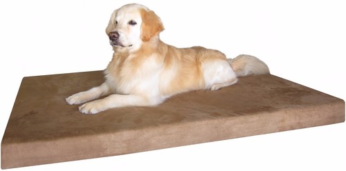 Orthopedic waterproof memory - orthopedic,