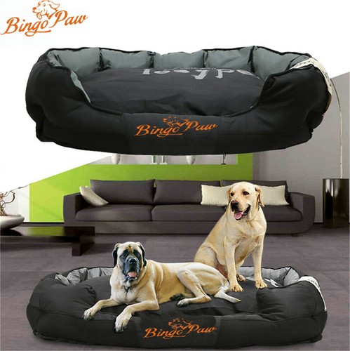 Large xxl jumbo orthopedic - jumbo,