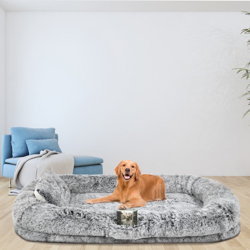 X43 human dog - human, bed