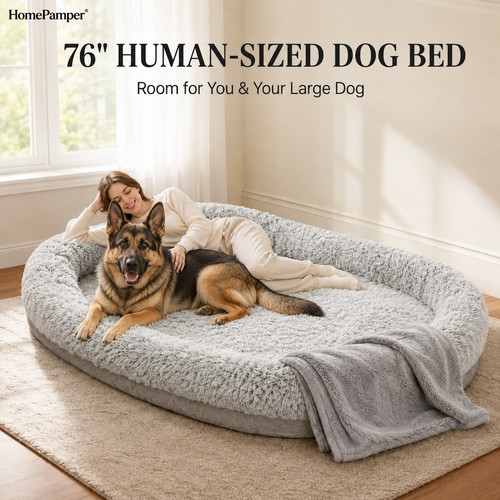 Human sized dog - dog, for