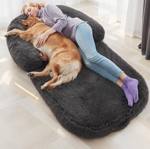 Human sized dog bed - sized,