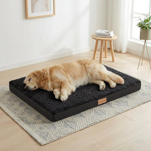 Orthopedic dog bed - dog, large