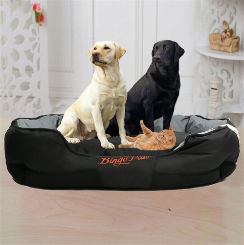 Extra large jumbo orthopedic - large,
