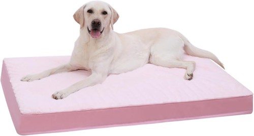 Orthopedic dog bed - dog,