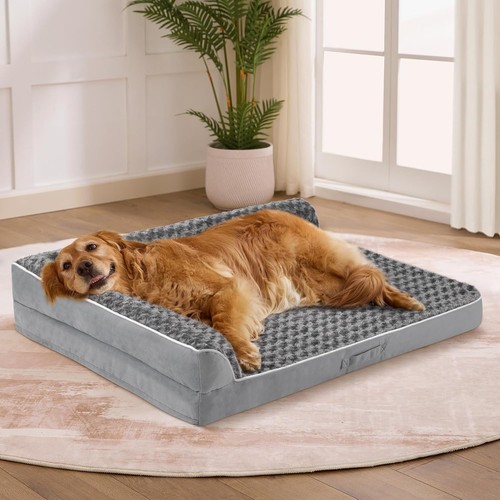 Orthopedic dog bed - orthopedic,