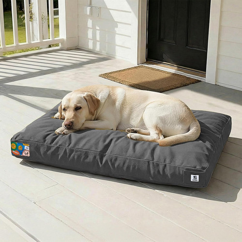 Inch canvas indestructible - inch,