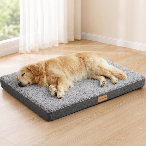 Orthopedic large dog - orthopedic,