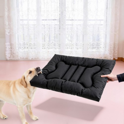 Chew proof dog bed tear - chew,