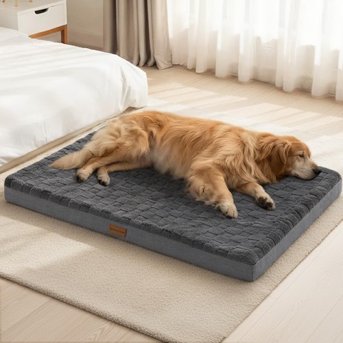 Orthopedic jumbo dog bed 56x40 - orthopedic,