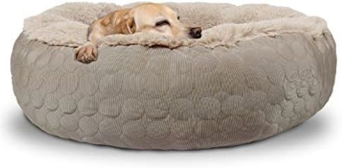 Orthopedic round dog bed - orthopedic,