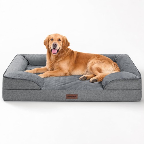 New best dog - best, bed