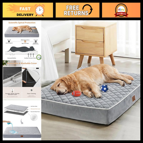 Extra large orthopedic - large,