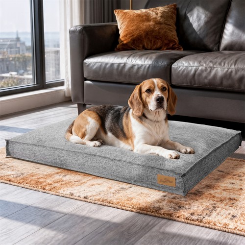 Xxl large dog - m-xxl,