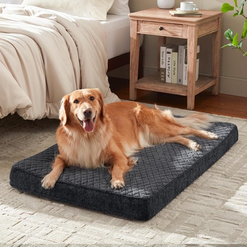 Orthopedic dog bed for - orthopedic,