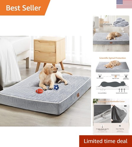 Luxury orthopedic dog bed - orthopedic,