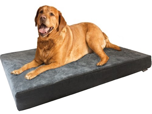 Jumbo gray suede pet dog - jumbo, bed