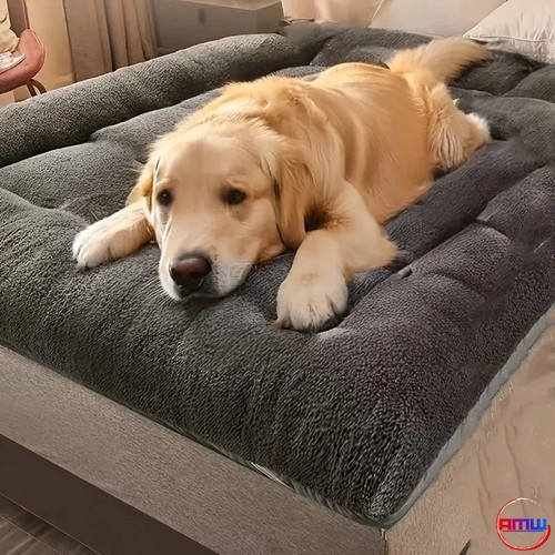 Extra large plush dog bed - extra,