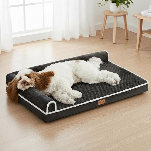 Orthopedic dog bed - dog, sized