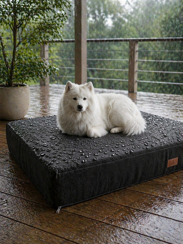 Premium dog bed - dog,