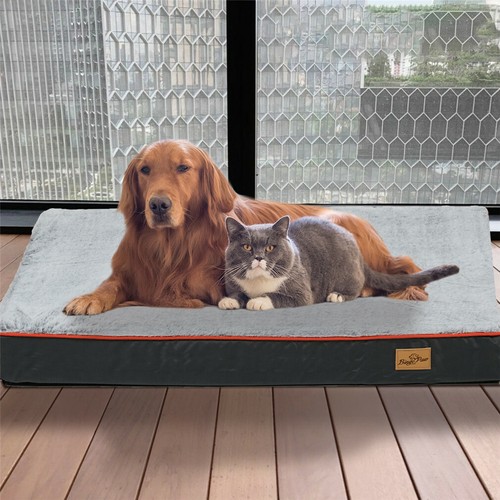Extra large dog - large, plush