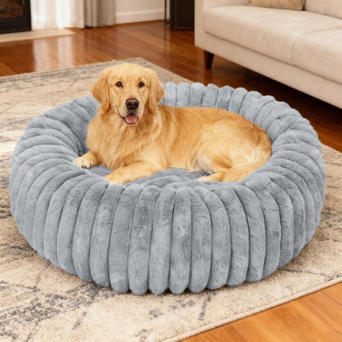 Washable extra large dog - large,