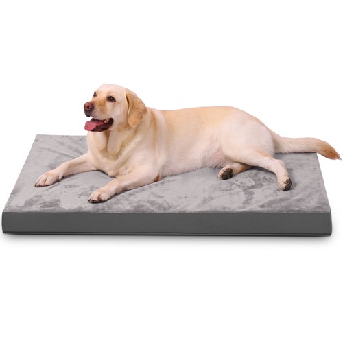 Orthopedic dog bed for - orthopedic,
