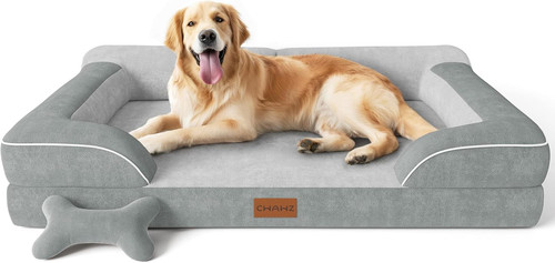 Extra large dog - extra,