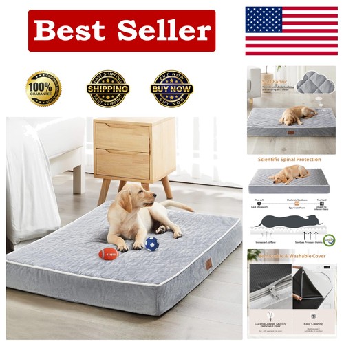 Extra large orthopedic dog bed - large,