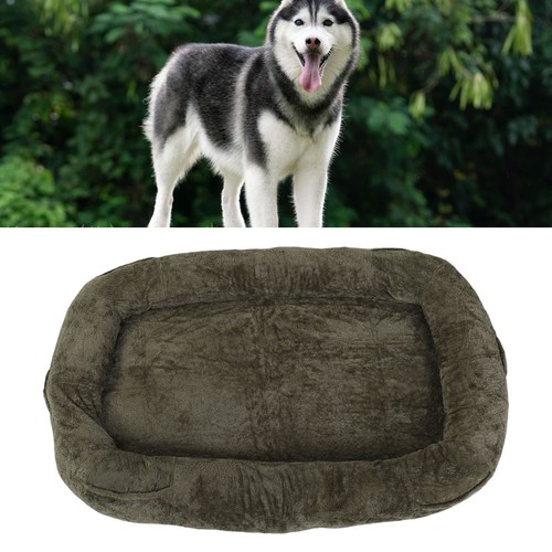 Human sized dog - human,