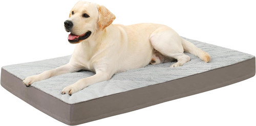Orthopedic dog bed - bed,