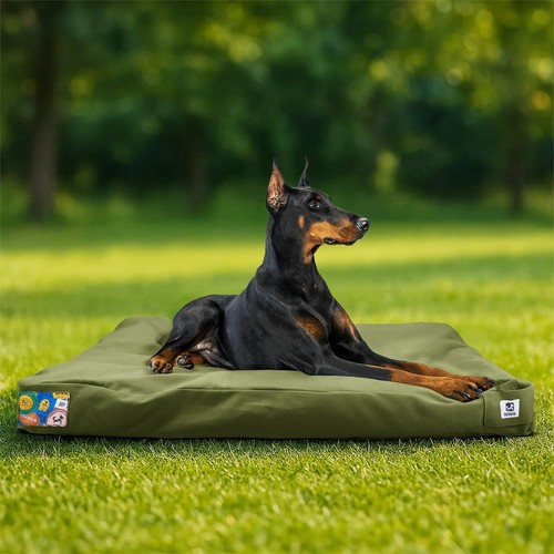 Inch indestructible canvas - 42,